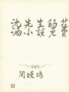 沈先生的花式调酒小说免费阅读封面