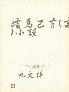 据为己有(高干)小说