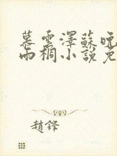 慕云泽苏晚晴夏雨桐小说免费阅读