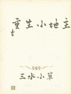重生小地主txt