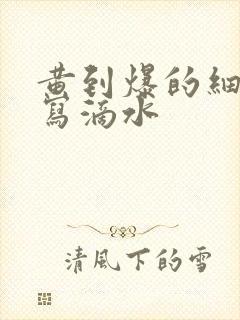 黄到爆的细节描写滴水封面