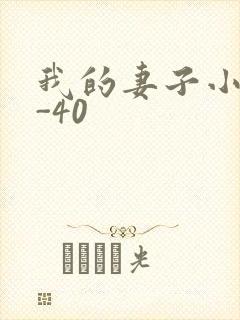 我的妻子小谨1-40封面