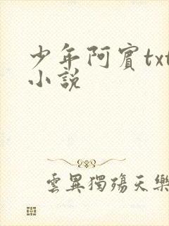 少年阿宾txt小说