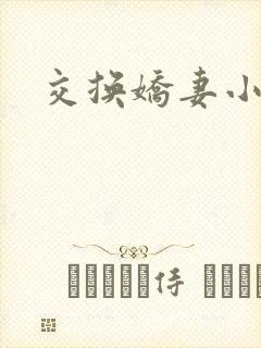 交换娇妻小说