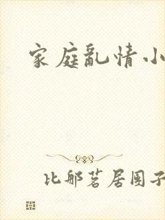 家庭乱情小说封面