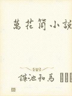 万花筒小说