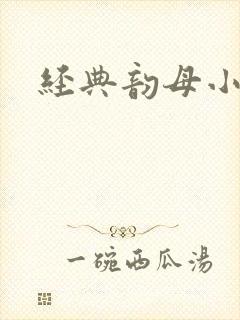 经典韵母小说