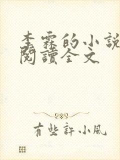 李霖的小说免费阅读全文