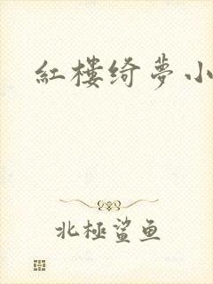 红楼绮梦小说