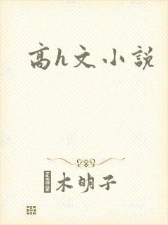 高h文小说