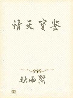 情天宝鉴封面
