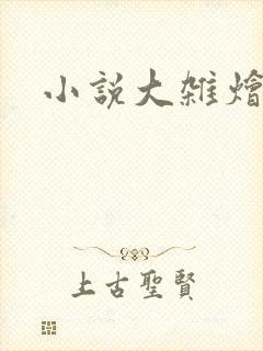小说大杂烩封面