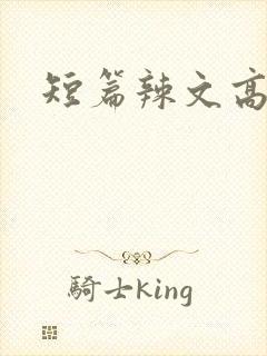 短篇辣文高h
