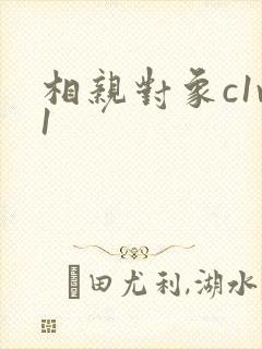 相亲对象c1v1