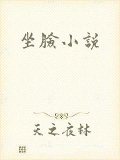 坐脸小说