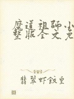 魔道祖师小说完整版全文免费阅读封面