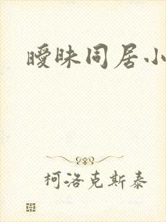 暧昧同居小说
