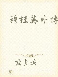 穆桂英外传
