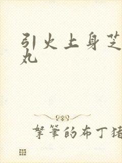 引火上身芝麻糖丸封面