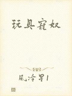 玩具宠奴