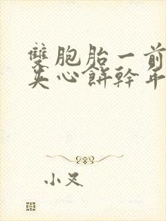 双胞胎一前一后夹心饼干年下