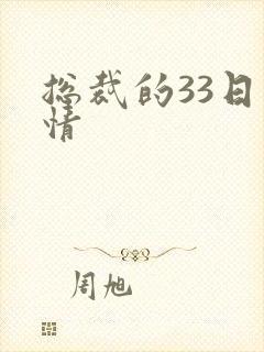 总裁的33日索情封面