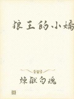 狼王的小娇妻