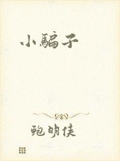 小骗子封面