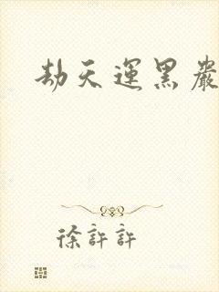 劫天运黑岩