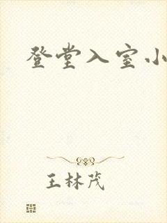 登堂入室小说