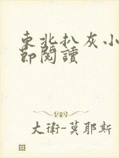 东北扒灰小说分节阅读