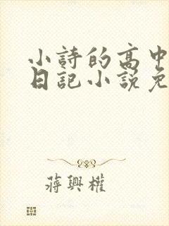 小诗的高中成长日记小说免费阅读