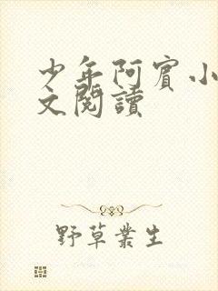 少年阿宾小说全文阅读