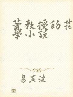 萧教授的花式教学小说
