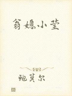 翁媳小莹封面