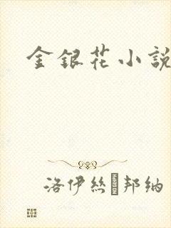 金银花小说乐可