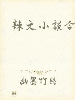 辣文小说合集封面
