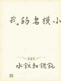 我的名模小娇妻