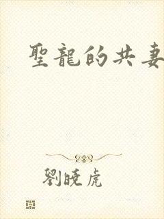 圣龙的共妻封面