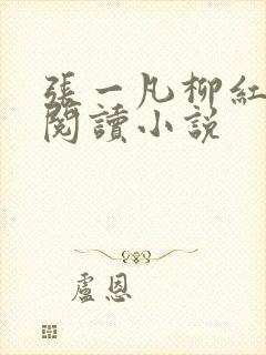 张一凡柳红免费阅读小说
