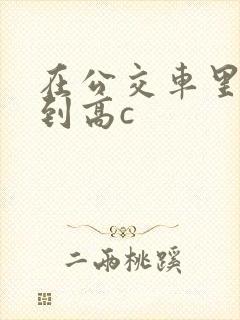 在公交车里c弄到高c