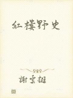 红楼野史