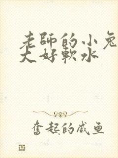 老师的小兔子好大好软水封面