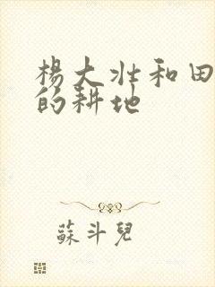 杨大壮和田桂花的耕地