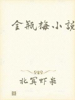 金瓶梅小说在线