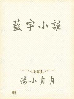 蓝宇小说
