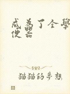 成为了全学校坐便器