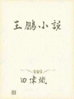 王鹏小说