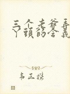 三个老爷弄一个丫头的含义封面