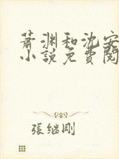 萧渊和沈安安的小说免费阅读封面